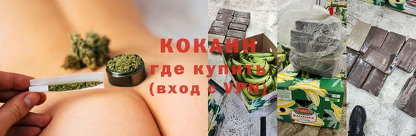 индика Горняк