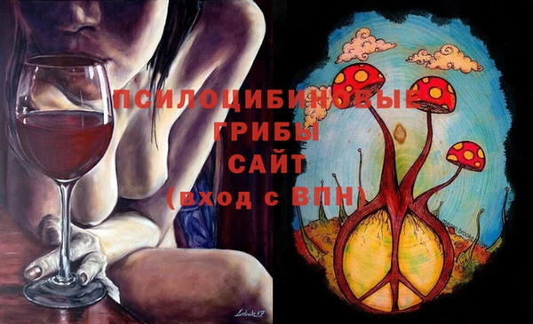 соль ск Волоколамск