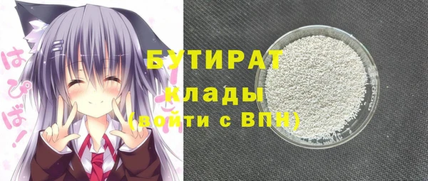 индика Горняк