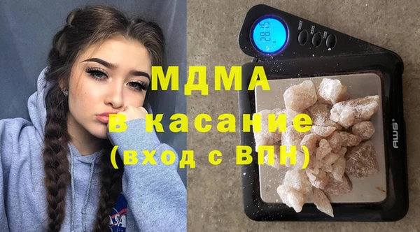 индика Горняк