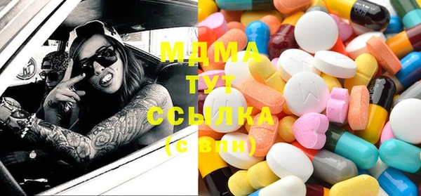 индика Горняк